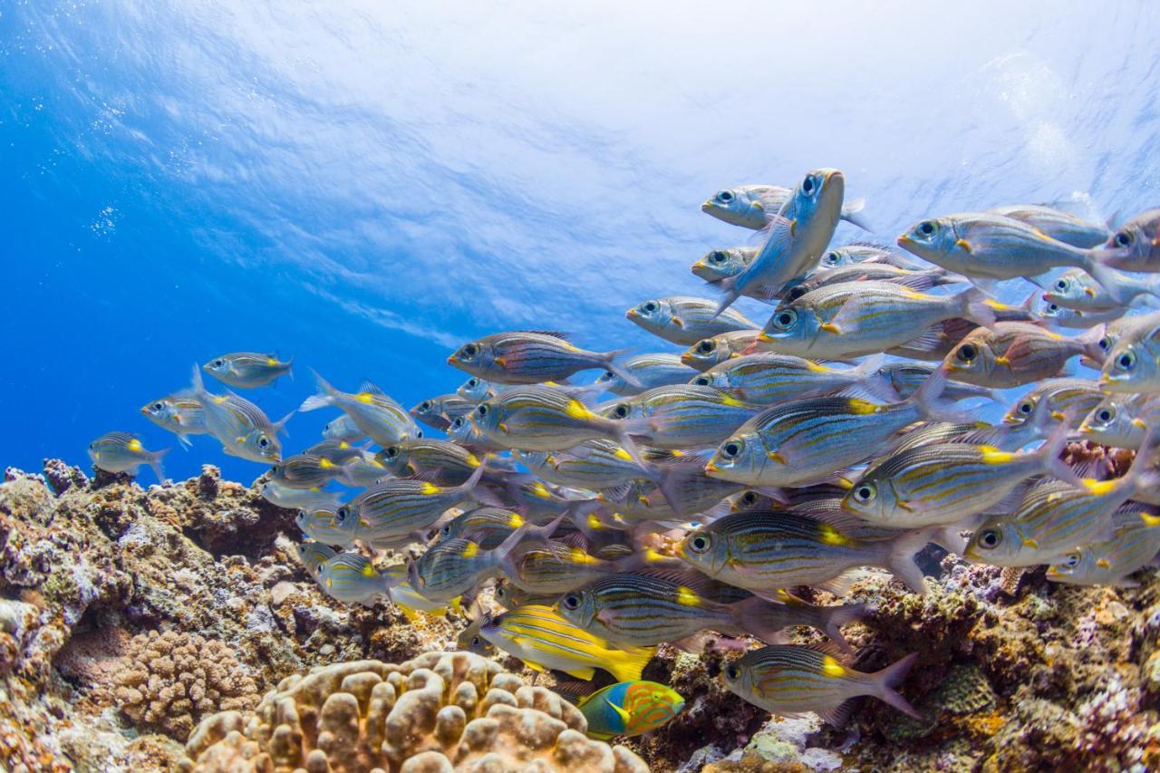 Ecot Shimozato 1 Aparthotel Miyakojima  ภายนอก รูปภาพ