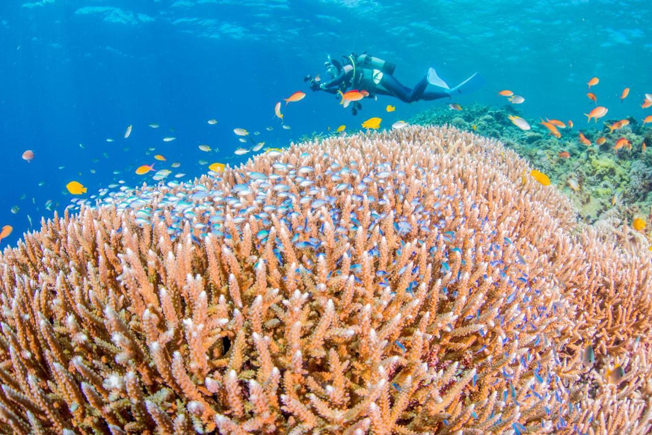 Ecot Shimozato 1 Aparthotel Miyakojima  ภายนอก รูปภาพ